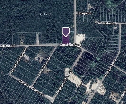 CORAL ROCK DRIVE WEBSTER, FL 33597