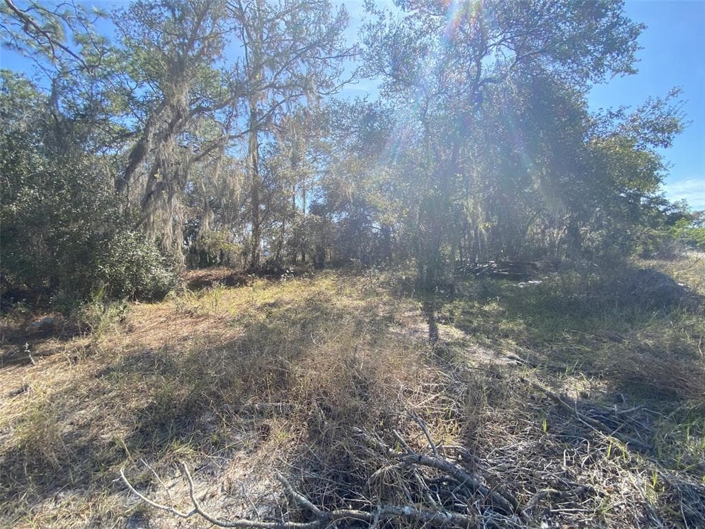 1203 VERNON LANE KISSIMMEE, FL 34759