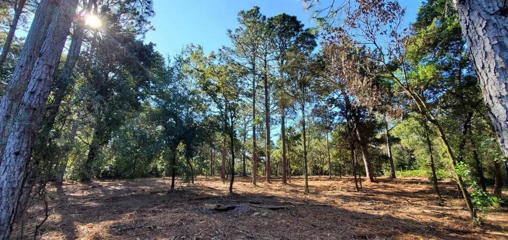 SW 82ND LANE OCALA, FL 34471