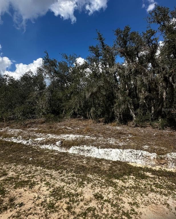 0 ALLISON AVENUE LAKE WALES, FL 33859
