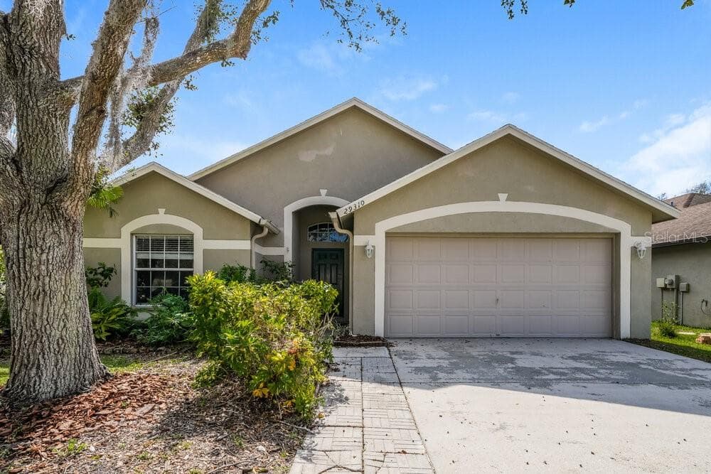 29310 BIRDS EYE DRIVE WESLEY CHAPEL, FL 33543