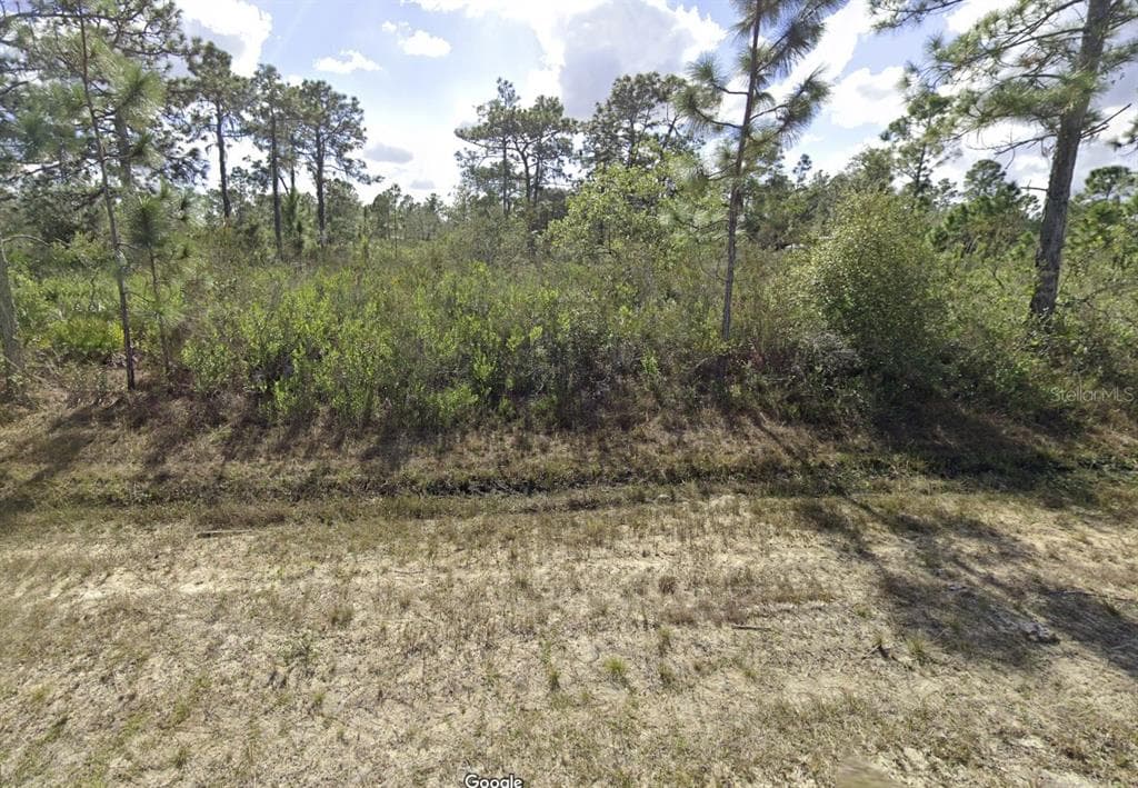 707 MAGNOLIA DRIVE INDIAN LAKE ESTATES, FL 33855