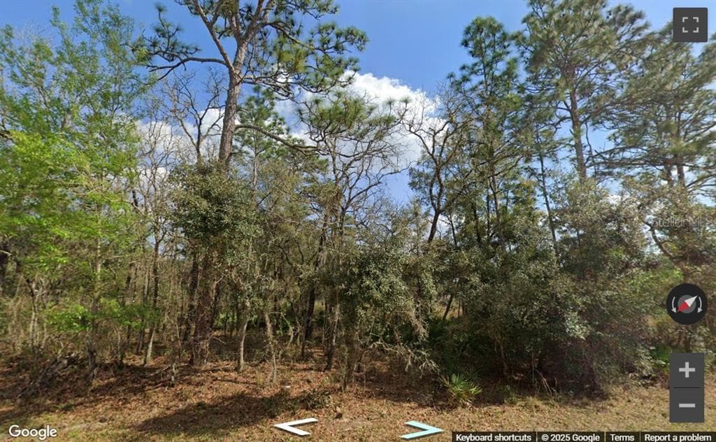 00 RIM ROCK WEBSTER, FL 33597