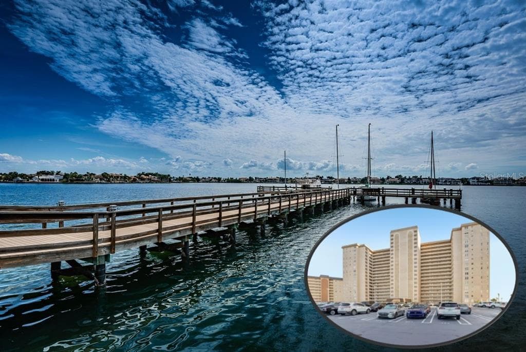 5200 BRITTANY DRIVE S UNIT 902 ST PETERSBURG, FL 33715