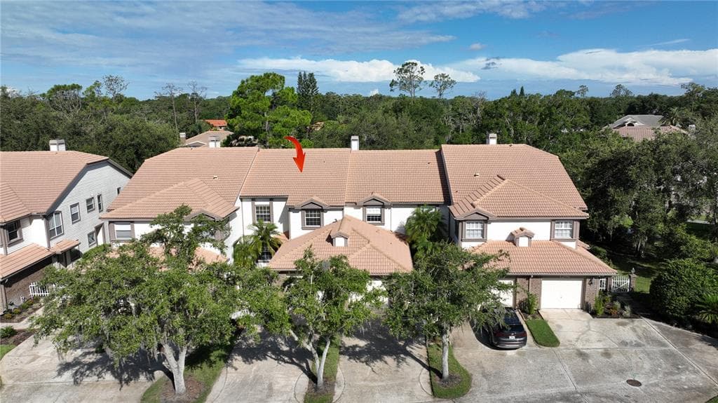 1290 CLAYS TRAIL OLDSMAR, FL 34677