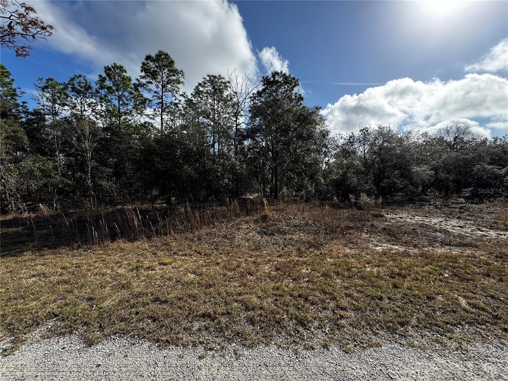 SE 135TH COURT DUNNELLON, FL 34431