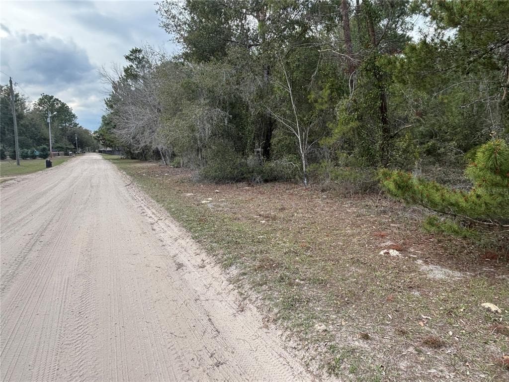 2929 BAMBOO STREET BUNNELL, FL 32110