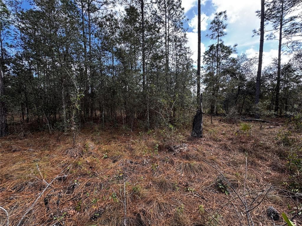 SE 133RD AVENUE DUNNELLON, FL 34431