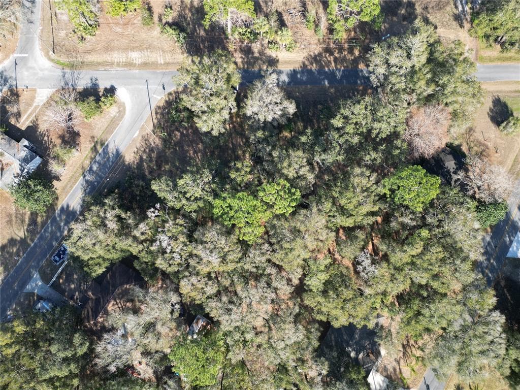 4530-004-025 BELLEVIEW, FL 34420