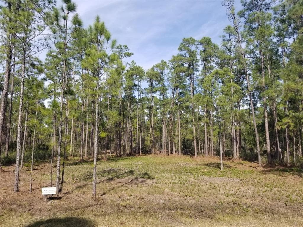 ALBA DRIVE INDIAN LAKE ESTATES, FL 33855