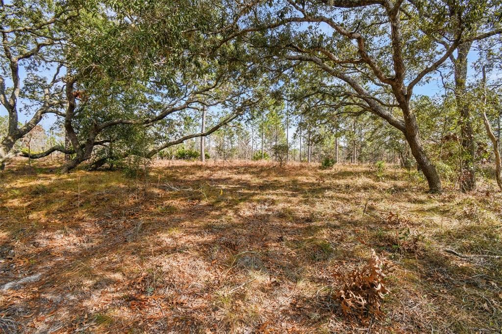SENECA ROAD WEEKI WACHEE, FL 34614