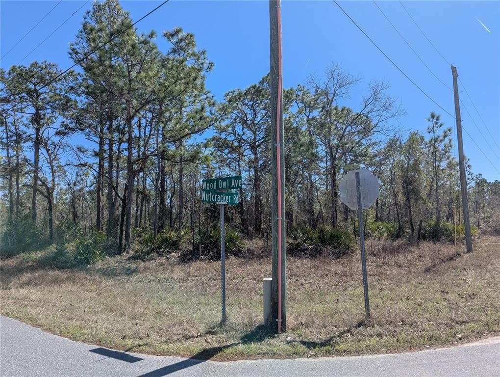 0 NUTCRACKER ROAD WEEKI WACHEE, FL 34614