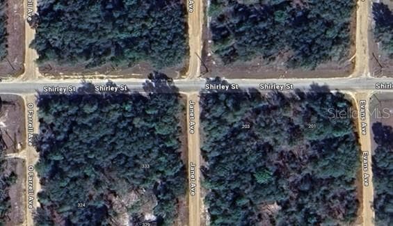JANET AVE INTERLACHEN, FL 32148