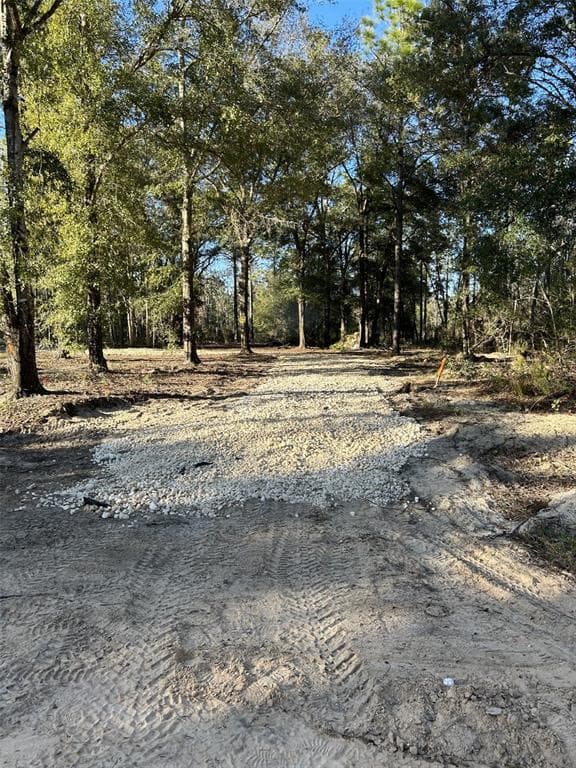 E WASHINGTON HAWTHORNE, FL 32640