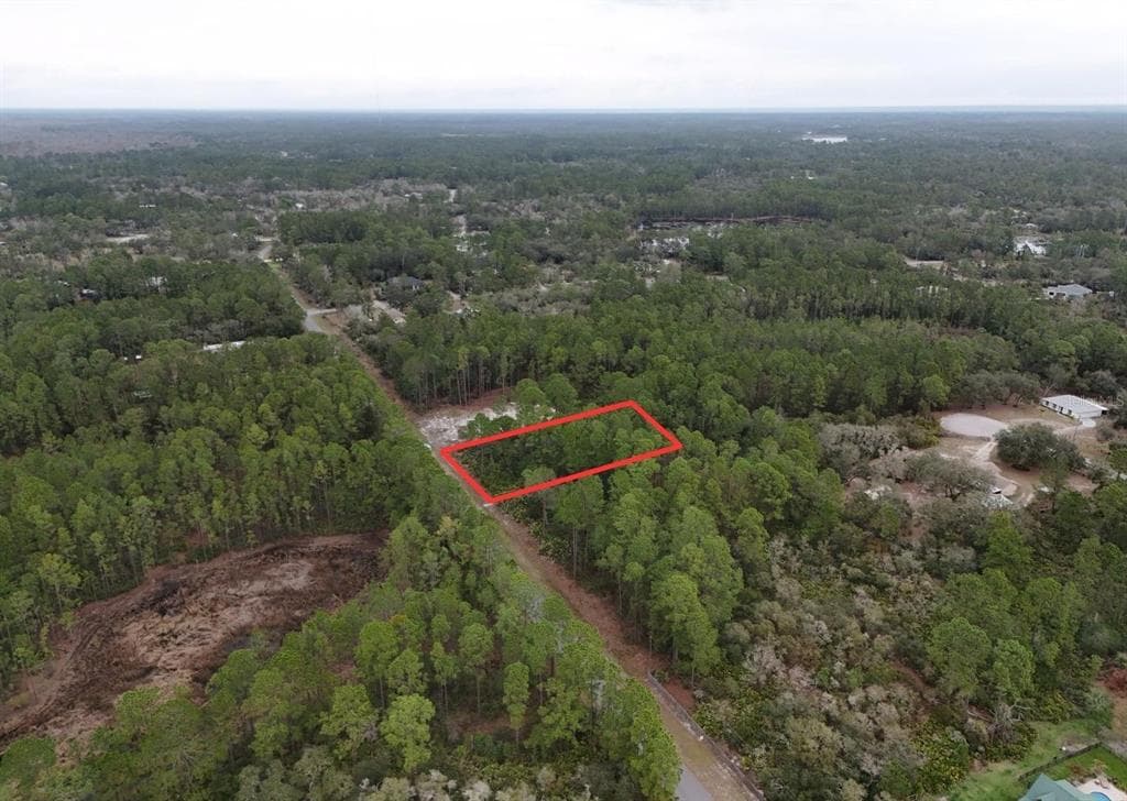 POINCIANA STREET EUSTIS, FL 32736