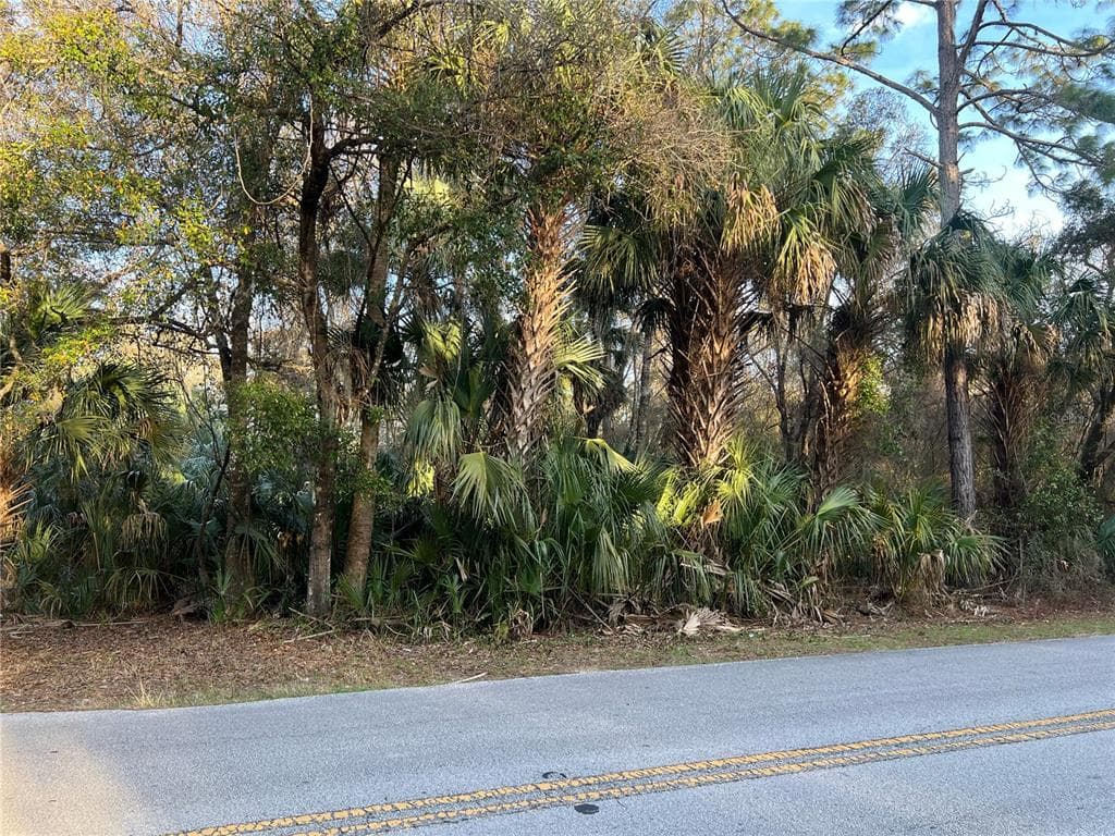 8523 N BASSWOOD AVENUE CRYSTAL RIVER, FL 34428