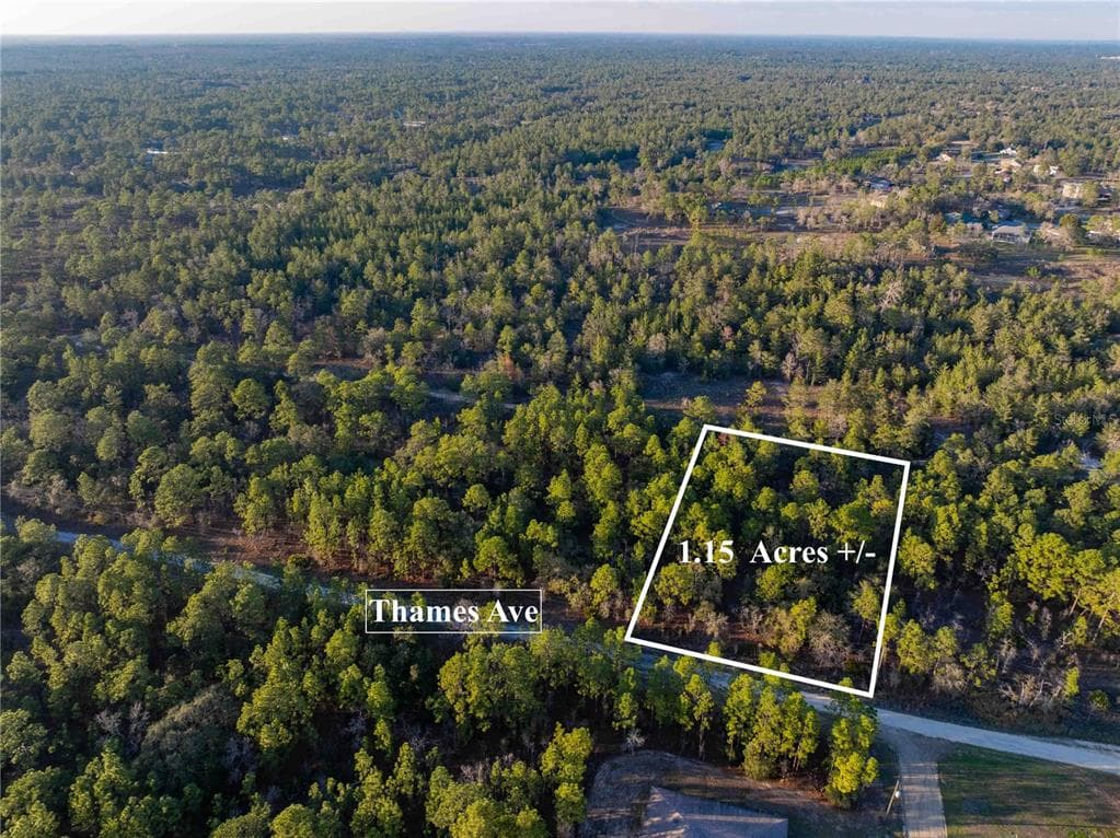 11465 THAMES AVENUE WEEKI WACHEE, FL 34614
