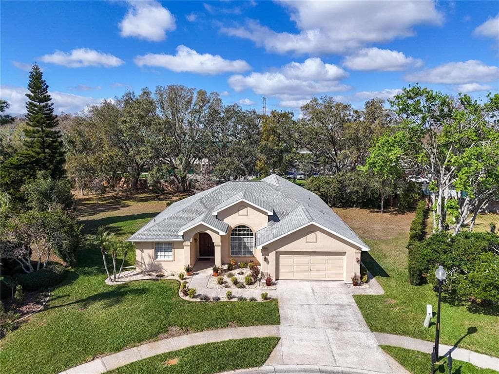 8233 DANUBIAN PLACE TRINITY, FL 34655