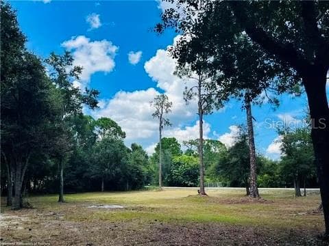 2530 N MOHAWK DRIVE W AVON PARK, FL 33825