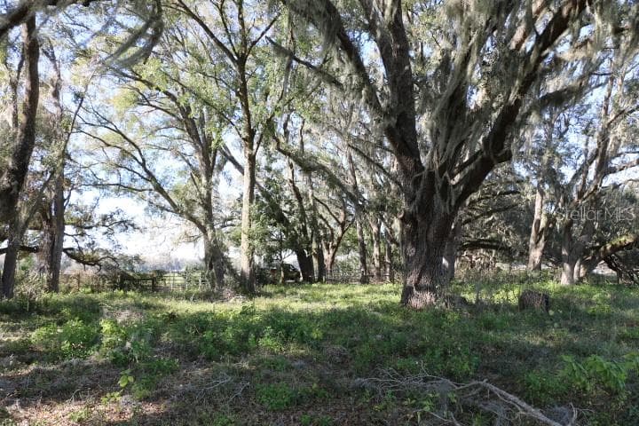 CR 48 BUSHNELL, FL 33513