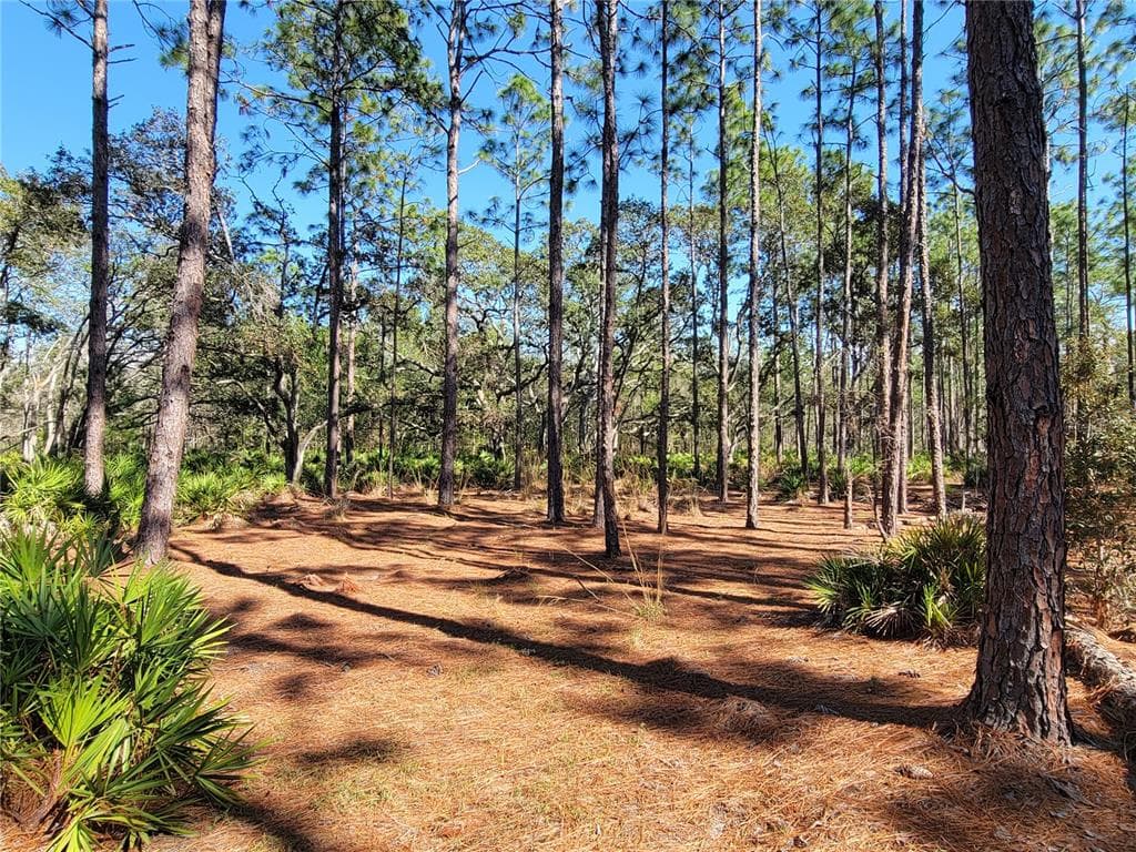 16442 HARDEMAN JUNCTION WEEKI WACHEE, FL 34614