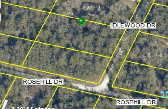 7319 IDLEWOOD DRIVE WEBSTER, FL 33597