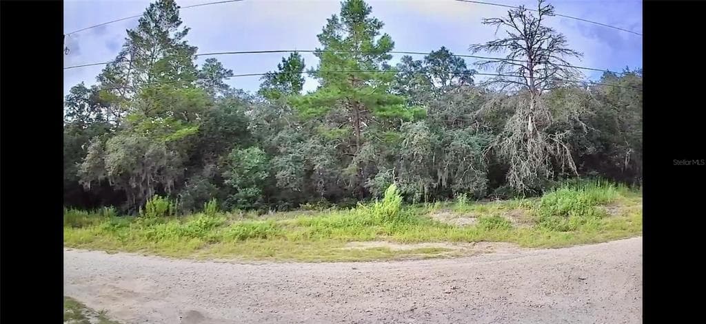 2912 WOODHILL STREET INVERNESS, FL 34452