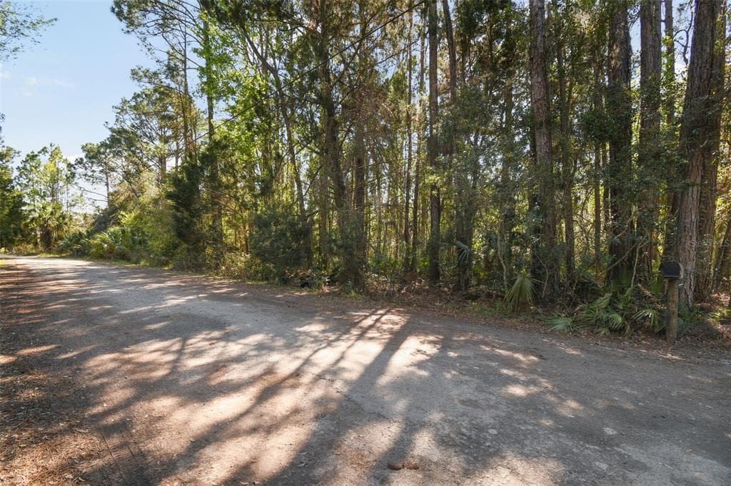 9670 S LOTUS POINT HOMOSASSA, FL 34448