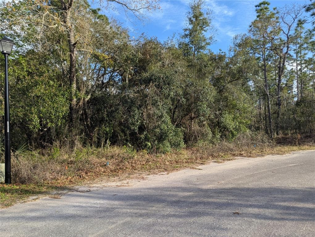 7 COCONUT COURT HOMOSASSA, FL 34446