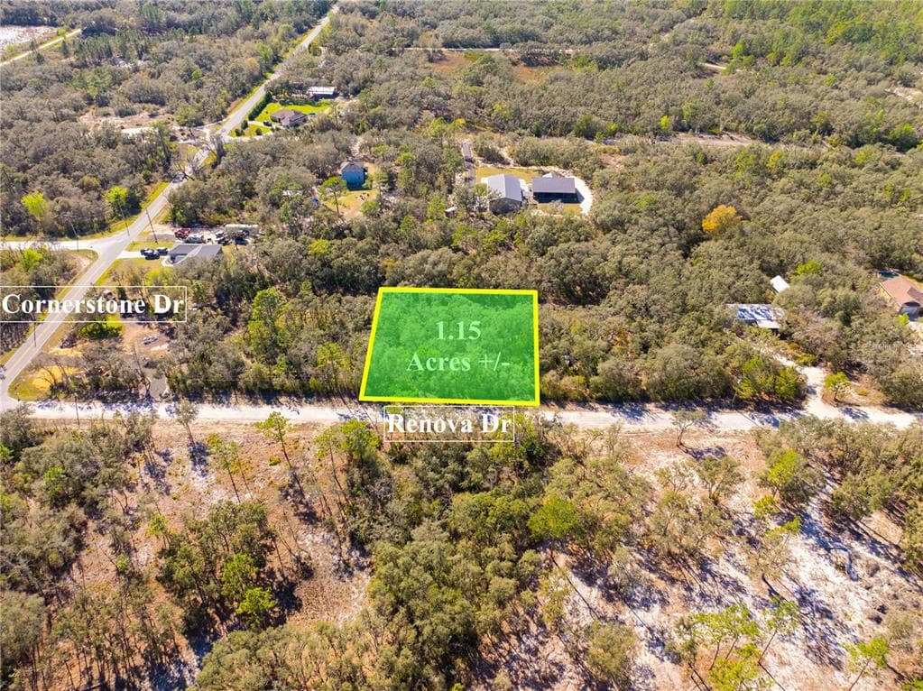 8149 RENOVA DRIVE WEBSTER, FL 33597