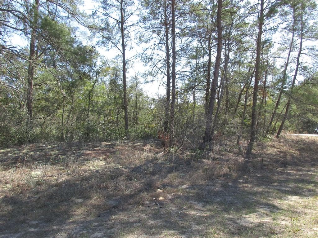 4381 W MALALUKA CIRCLE CITRUS SPRINGS, FL 34433