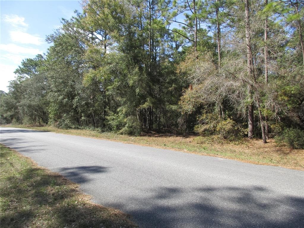 3199 W TALINUM PLACE CITRUS SPRINGS, FL 34433