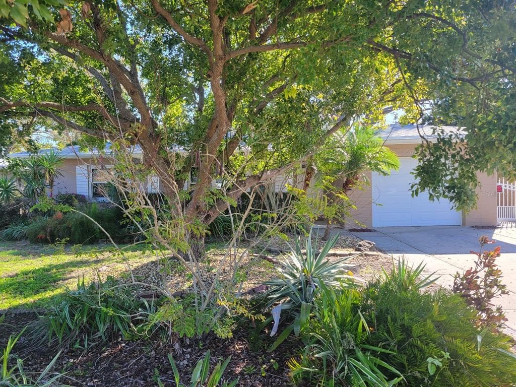 1515 SAN ROY DRIVE DUNEDIN, FL 34698