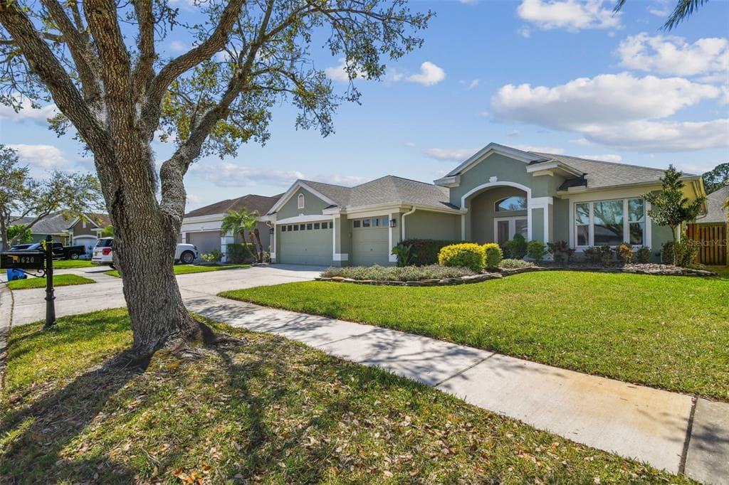 10620 TAVISTOCK DRIVE TAMPA, FL 33626