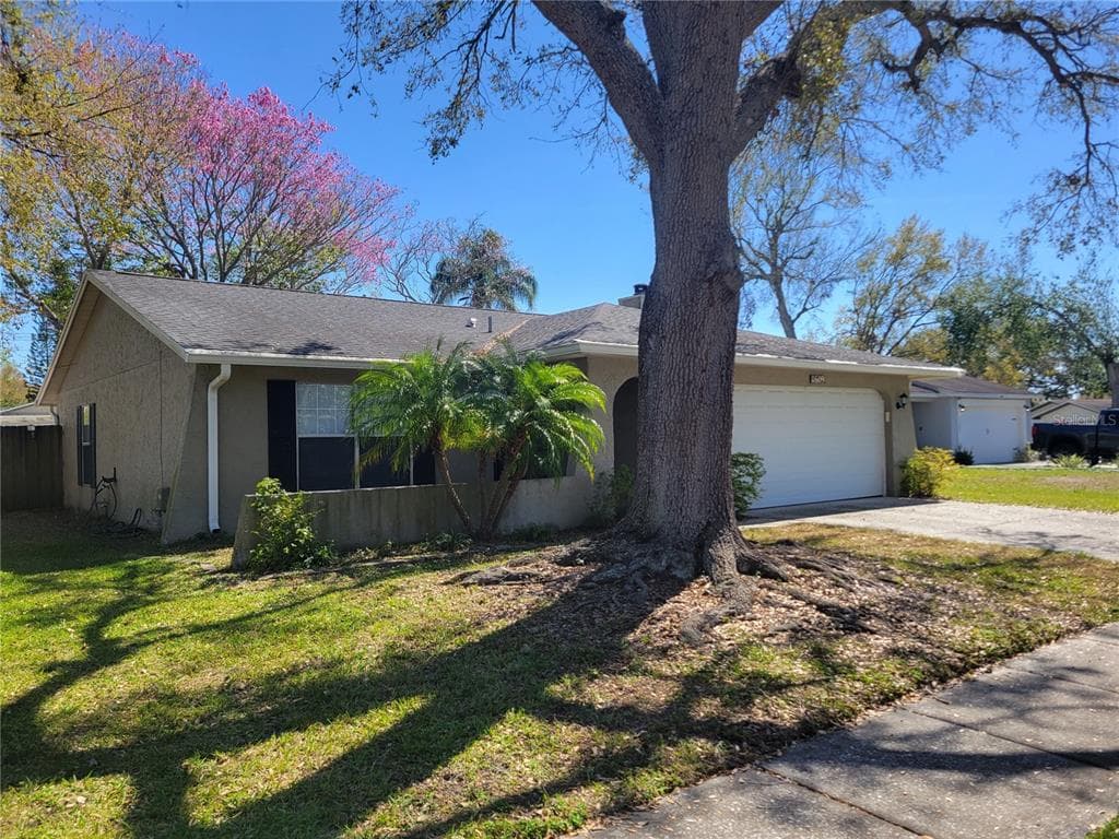 11609 SHADY TREE PLACE TAMPA, FL 33624