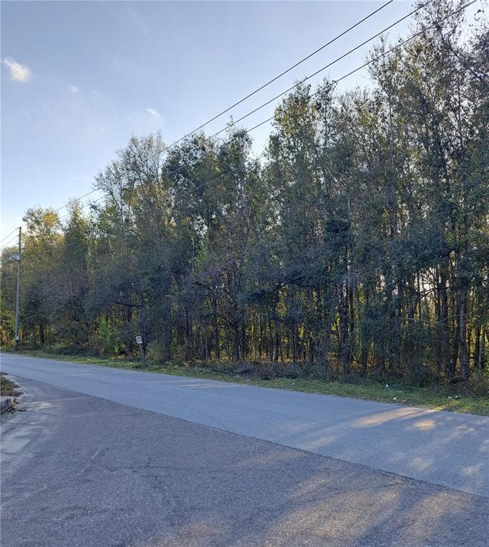 20TH STREET ZEPHYRHILLS, FL 33542