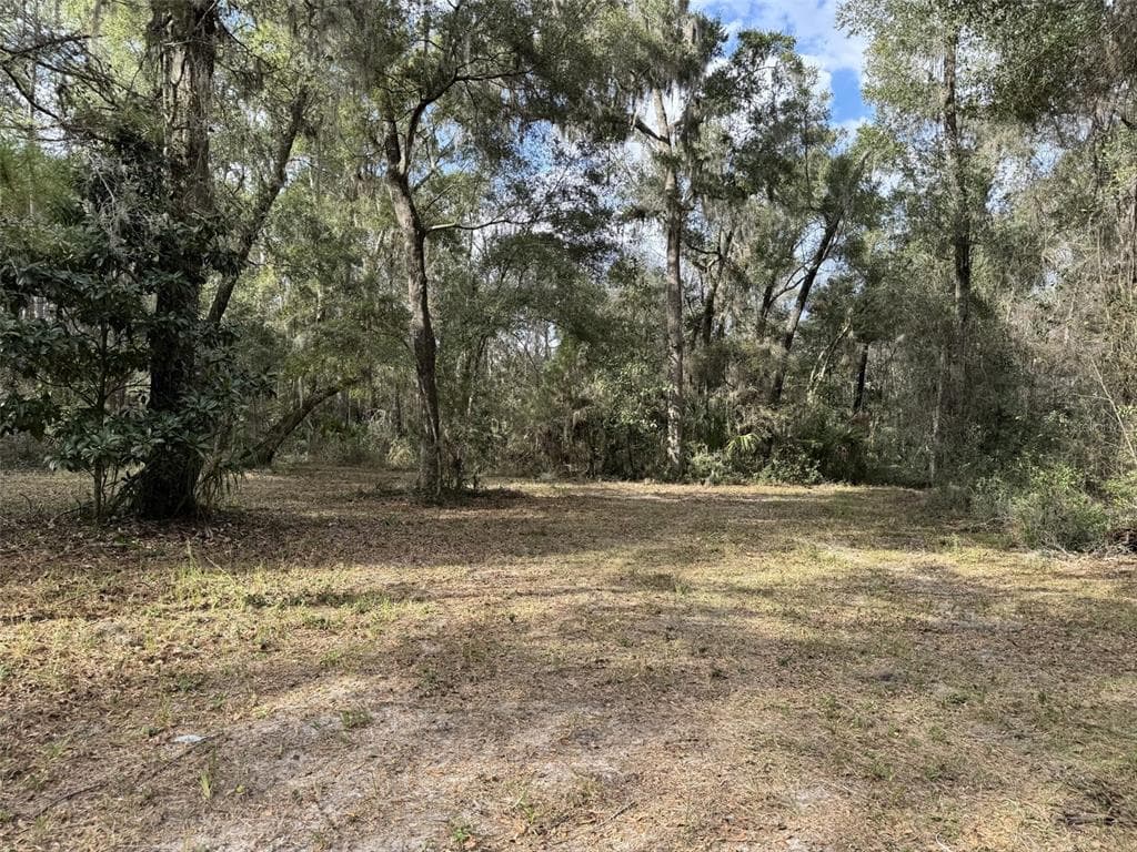 22422 NW 91 COURT ROAD MICANOPY, FL 32667