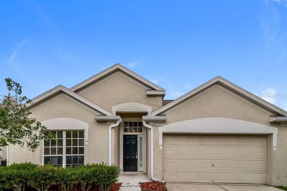 29805 MORNINGMIST DRIVE WESLEY CHAPEL, FL 33543