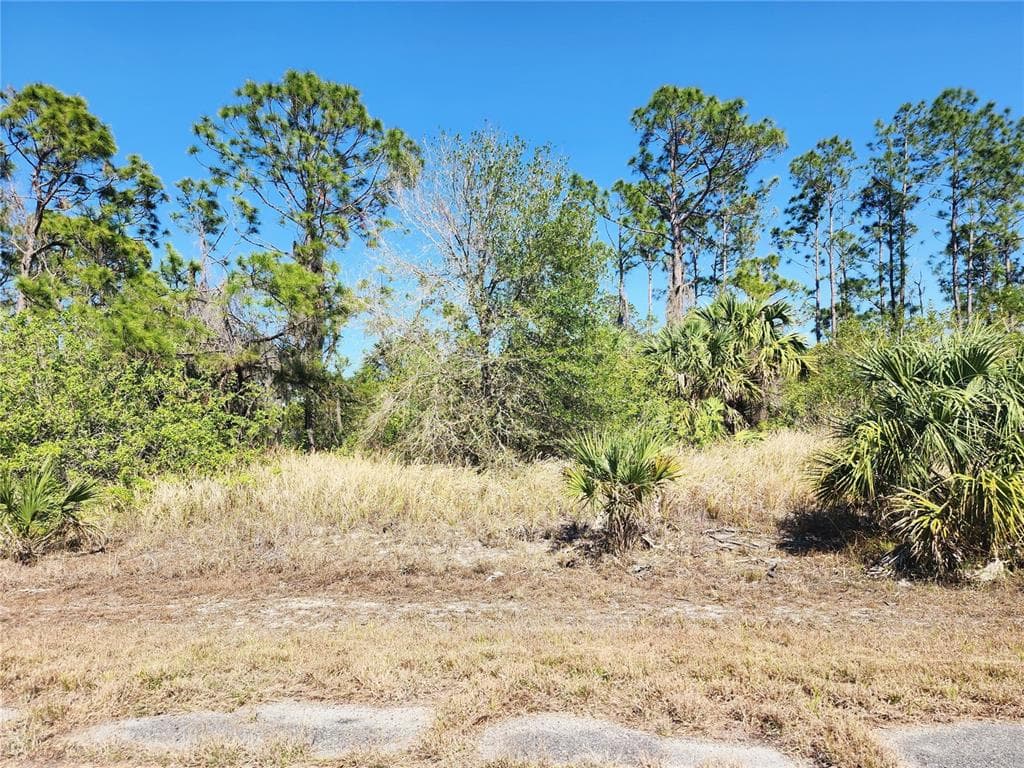 Lot 14 HAMERTON ROAD NORTH PORT, FL 34288