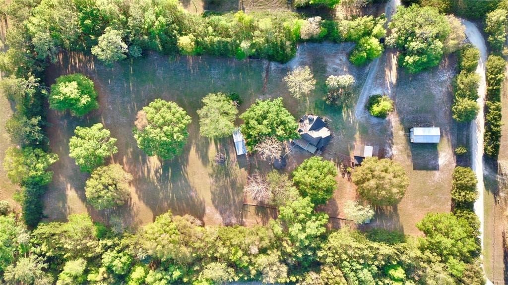 14203 SE 161ST PLACE HAWTHORNE, FL 32640
