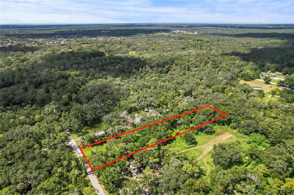 4420 RIVER DRIVE VALRICO, FL 33596