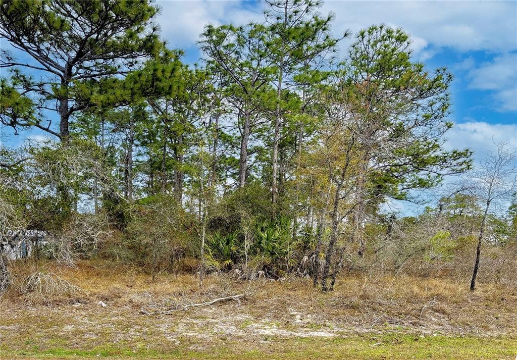 8090 NORDICA ROAD BROOKSVILLE, FL 34613
