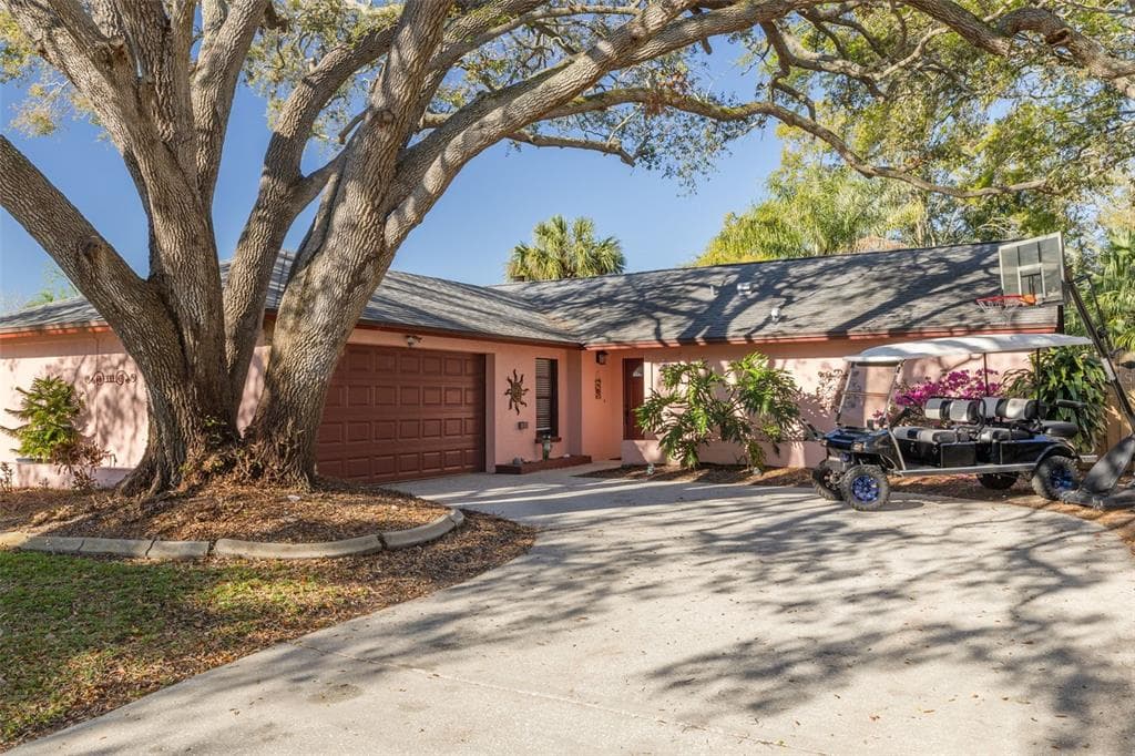 333 ARBOR DRIVE E PALM HARBOR, FL 34683