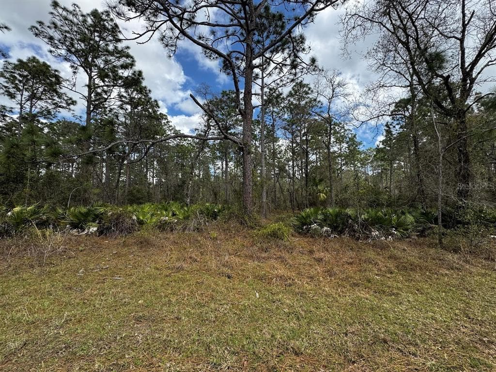 SE 128TH AVENUE DUNNELLON, FL 34431
