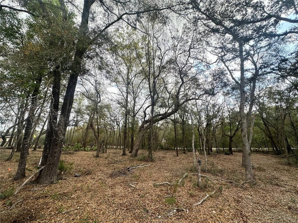 9035 REALSTONE DRIVE WEBSTER, FL 33597