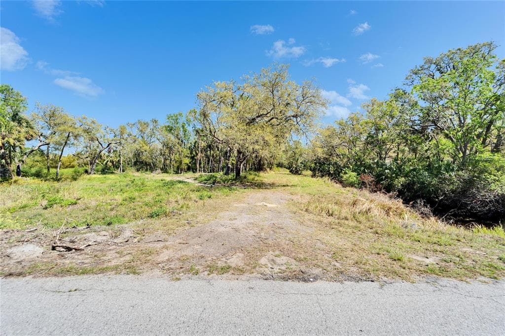 3106 TIMBERLEE ROAD WIMAUMA, FL 33598