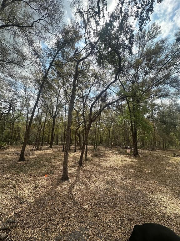 9048 TOP ROCK DRIVE WEBSTER, FL 33597