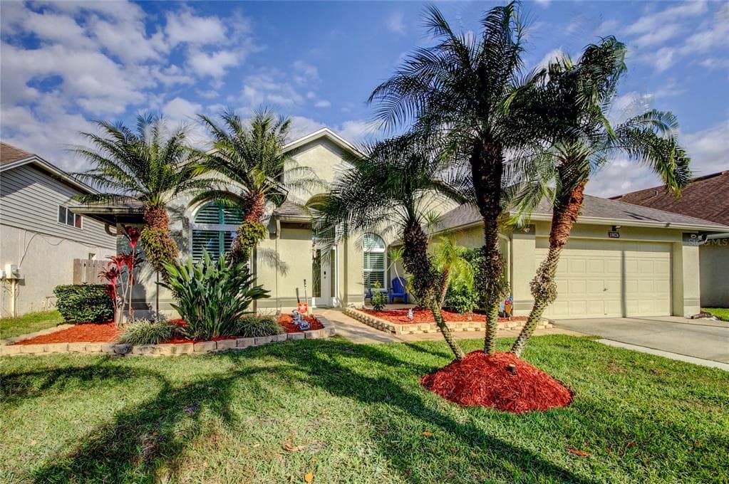 10026 OASIS PALM DRIVE TAMPA, FL 33615
