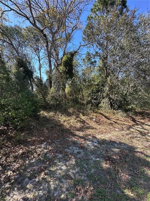3069 AMHERST AVENUE SPRING HILL, FL 34609
