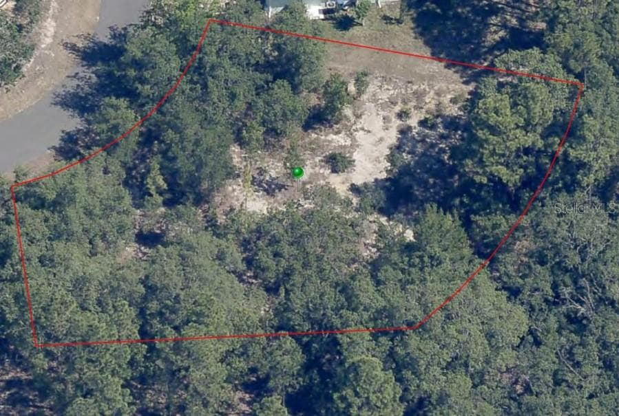 33 WAXMYRTLE COURT HOMOSASSA, FL 34446